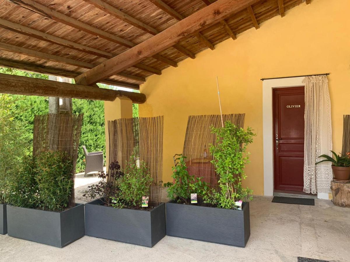 Gîte L'Olivier  Carpentras Extérieur photo