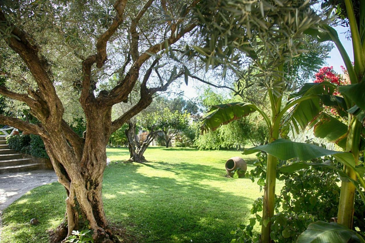 Gîte L'Olivier  Carpentras Extérieur photo